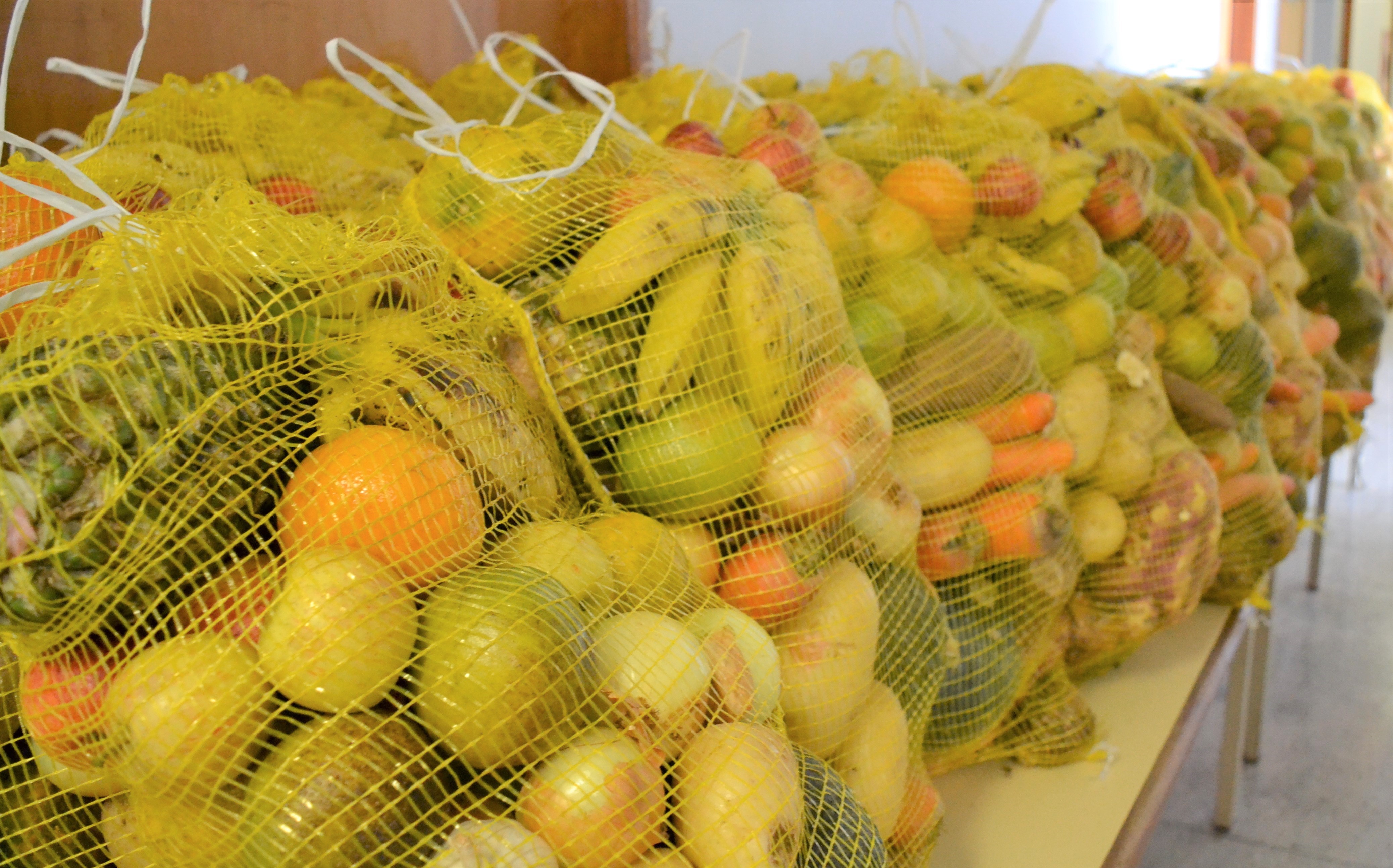 imagem sem descrição.