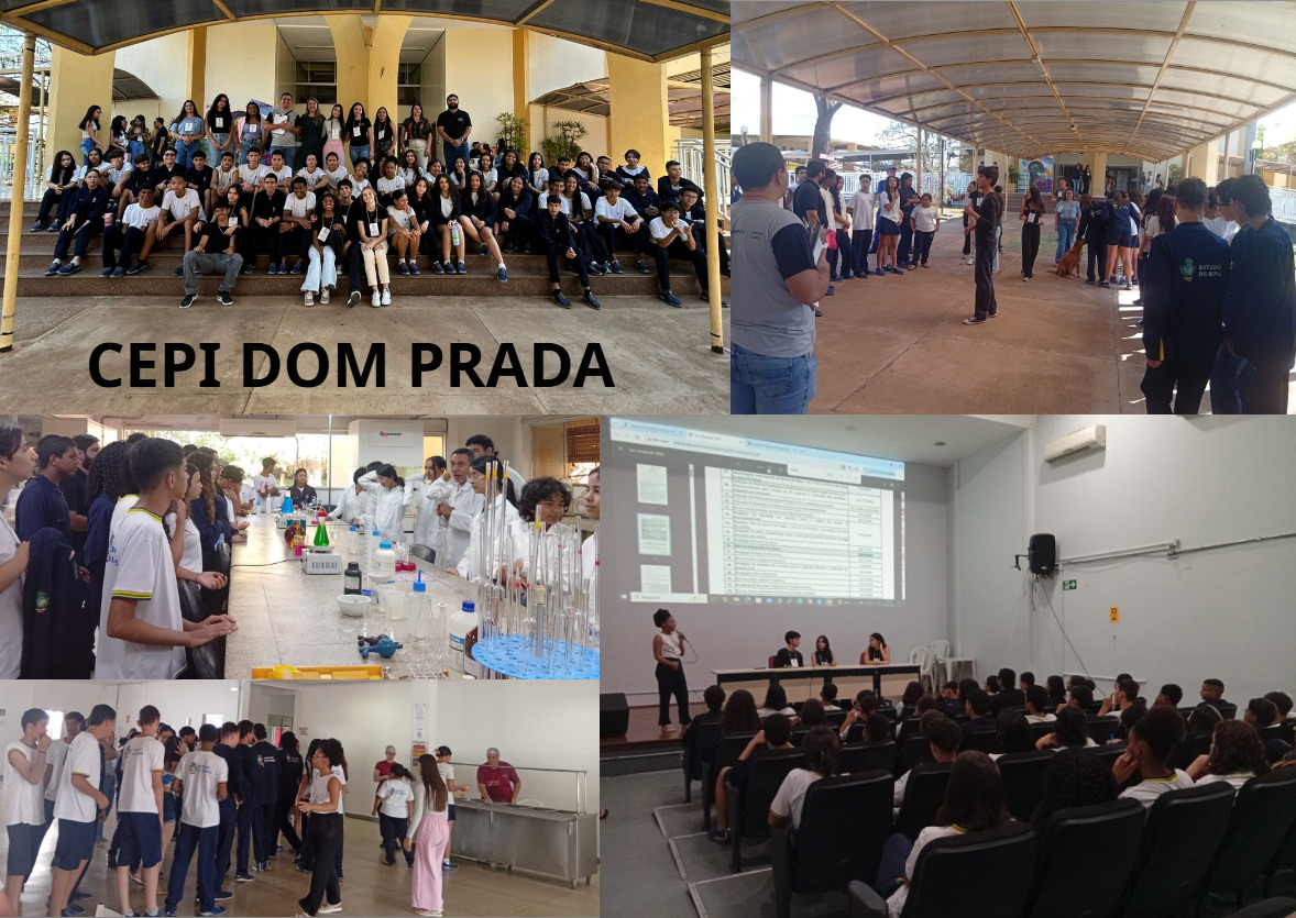 CEPI Dom Prada - 2025