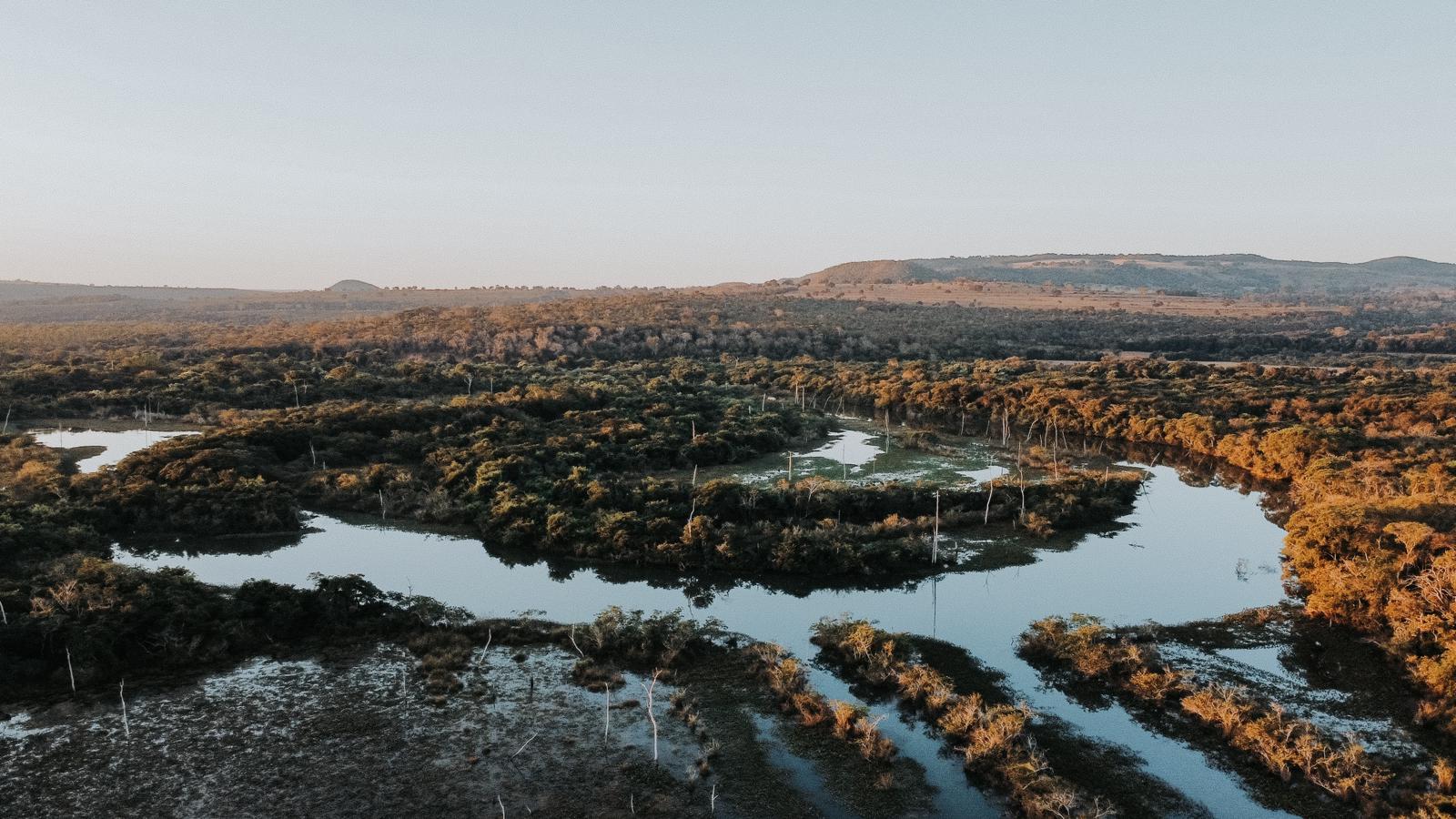 Foto Amanda Costa - Imagem área da Reserva Ecológica Porto das Antas