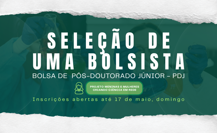 imagem sem descrição.