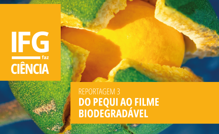 Reportagem destaca projeto de pesquisa com a casca do pequi